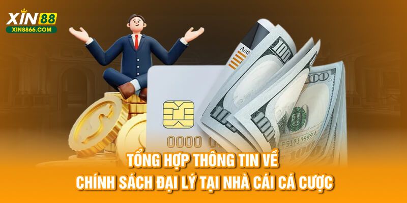 Tổng hợp thông tin về chính sách đại lý tại nhà cái cá cược Xin88